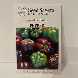 Chocolate Beauty Pepper (Sweet)